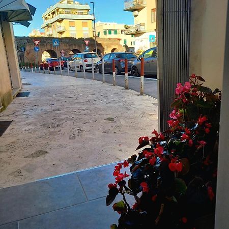 Casa Delle Begonie Daire Roma Dış mekan fotoğraf